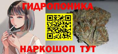 скорость Шебекино