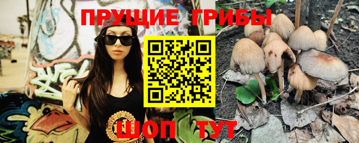 Псилоцибиновые грибы GOLDEN TEACHER Новодвинск