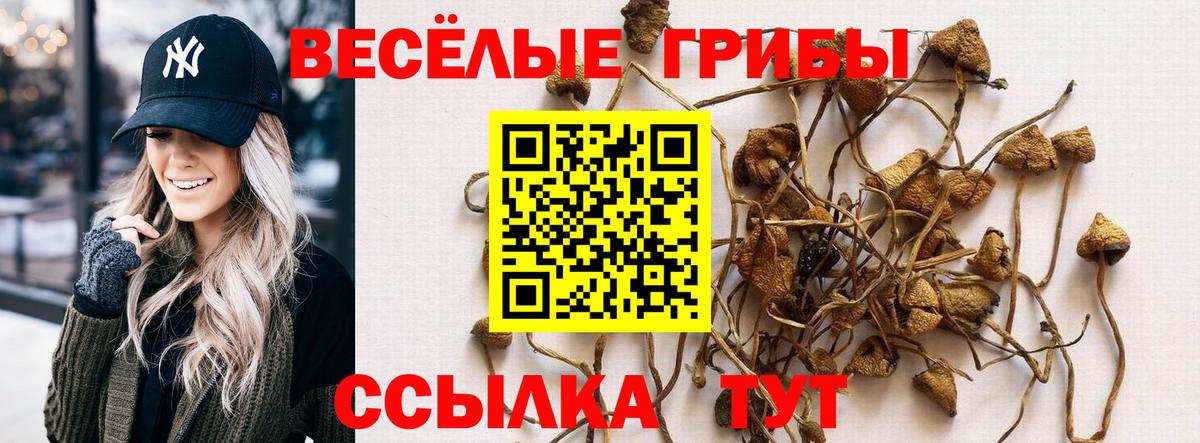 Новодвинск  Псилоцибиновые грибы GOLDEN TEACHER  Вход с VPN  Галлюциногенные грибы Psilocybine cubensis 